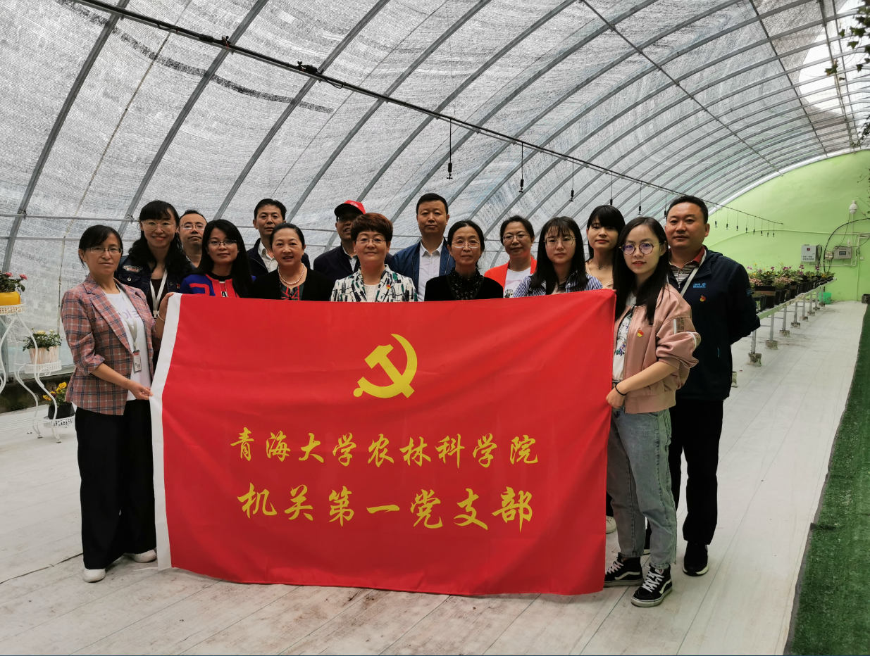 QQ截图20200706113957.png