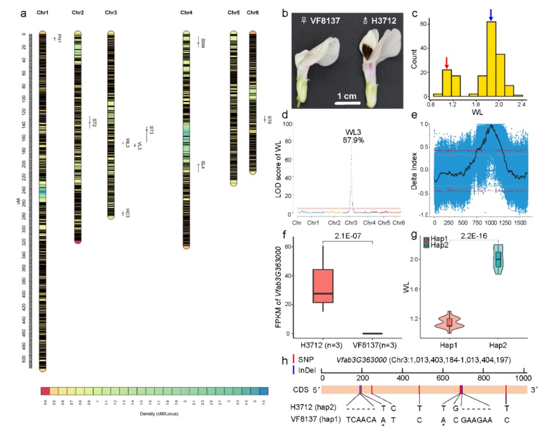 84a212e8edfb4331b703c5e1f87a0779.jpg 84a212e8edfb4331b703c5e1f87a0779.jpg